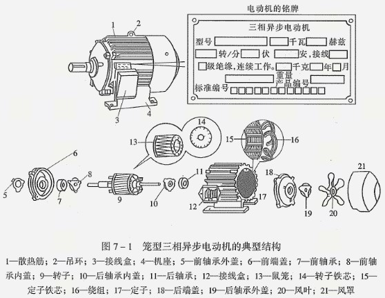 籠型三相異步電動機的典型結構